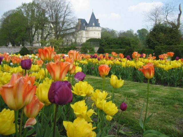 Le Refuge De Normandie Avec Spa Et Cheminee Mesnieres-en-Bray 外观 照片